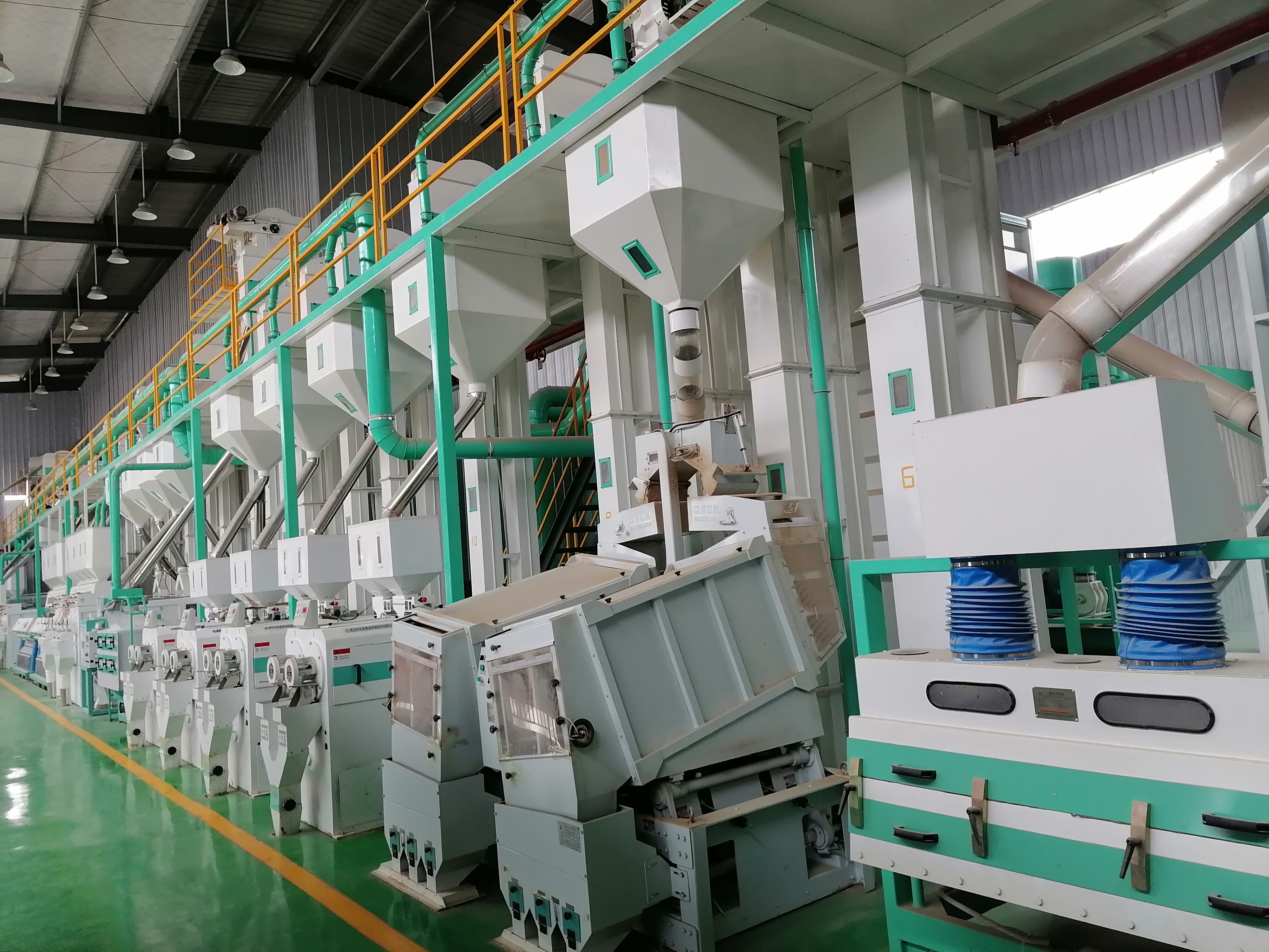 Daily output 200 tons of rice processing line